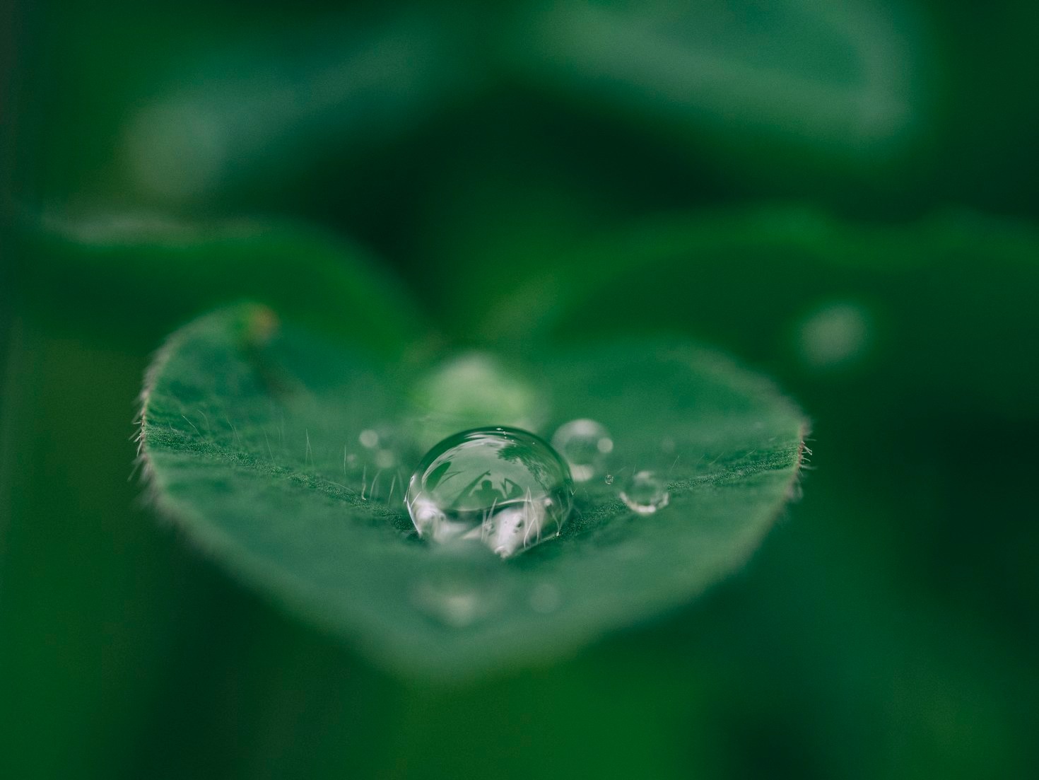 Casos de éxito en ingeniería ambiental sostenible